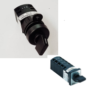 Salzer-P110 Switches